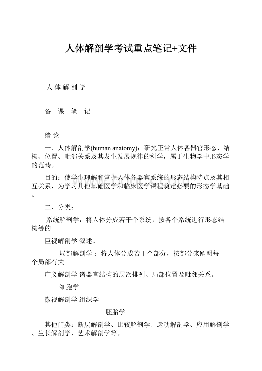 人体解剖学考试重点笔记+文件.docx_第1页