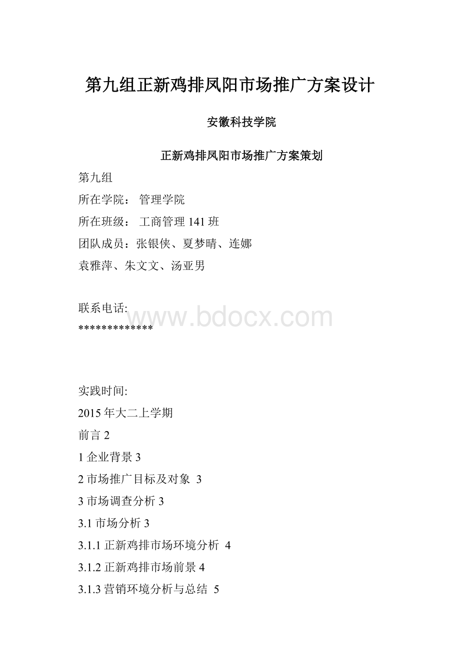 第九组正新鸡排凤阳市场推广方案设计.docx