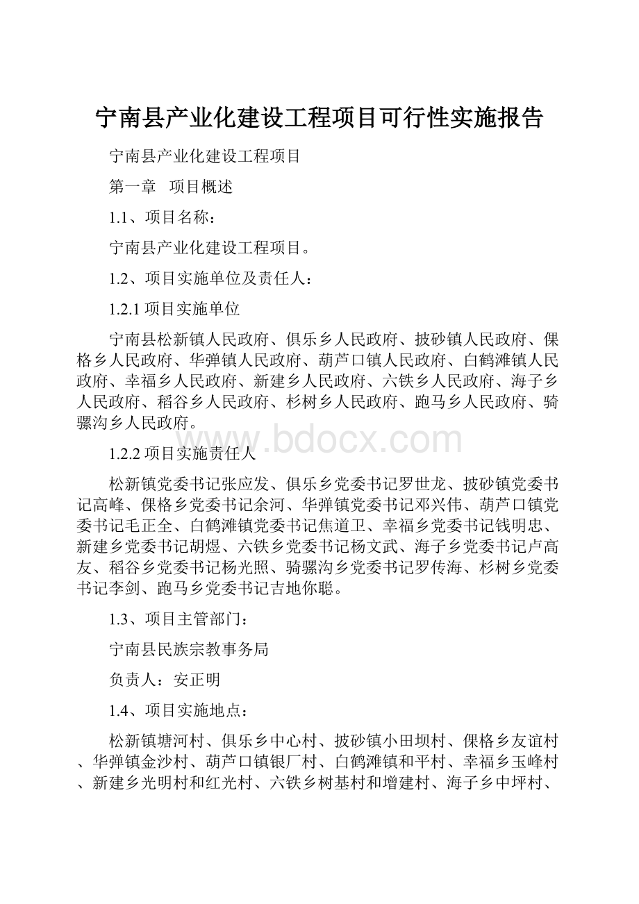 宁南县产业化建设工程项目可行性实施报告.docx_第1页