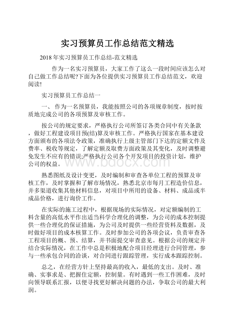 实习预算员工作总结范文精选.docx