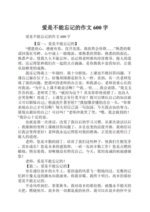 爱是不能忘记的作文600字.docx