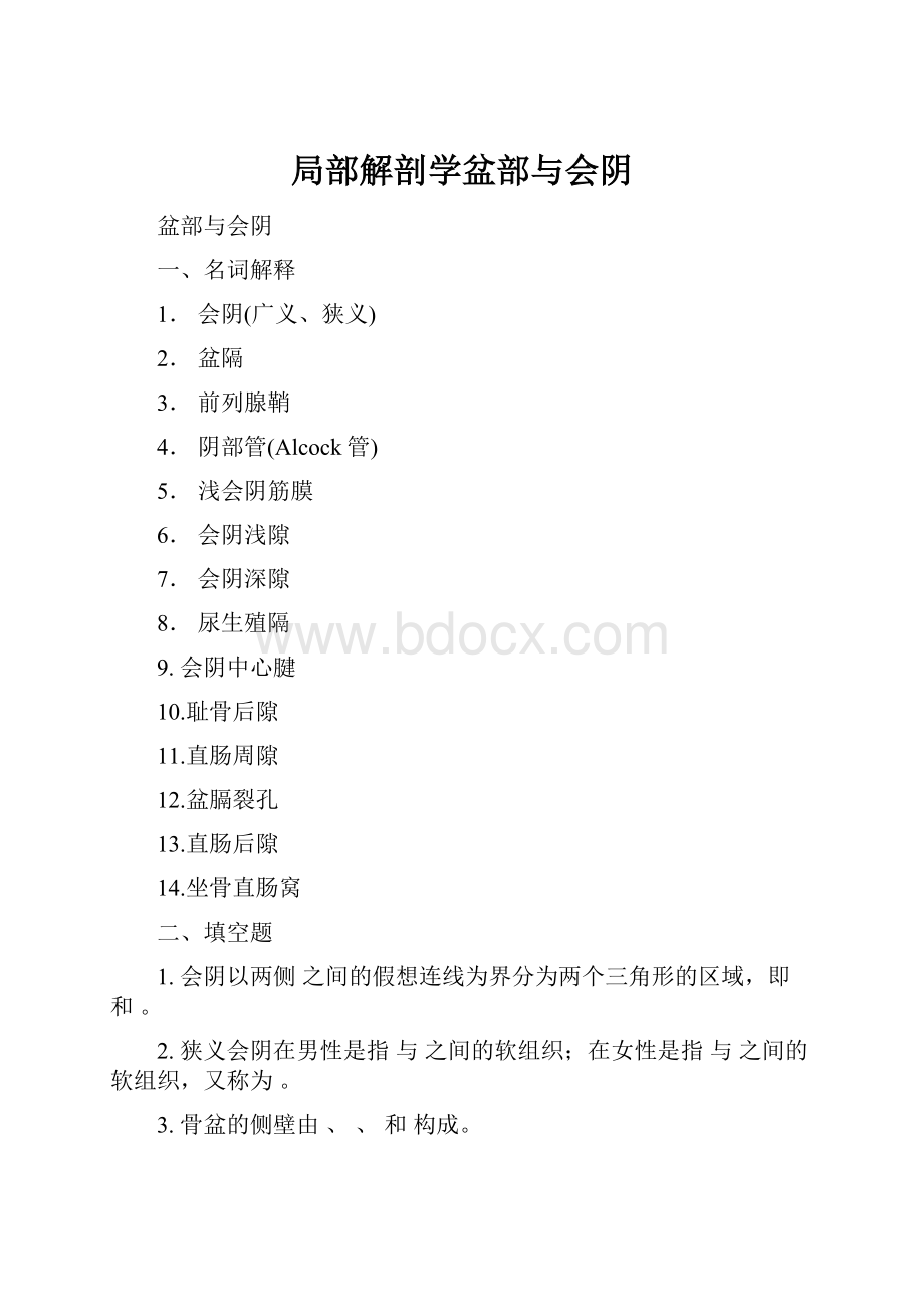 局部解剖学盆部与会阴.docx