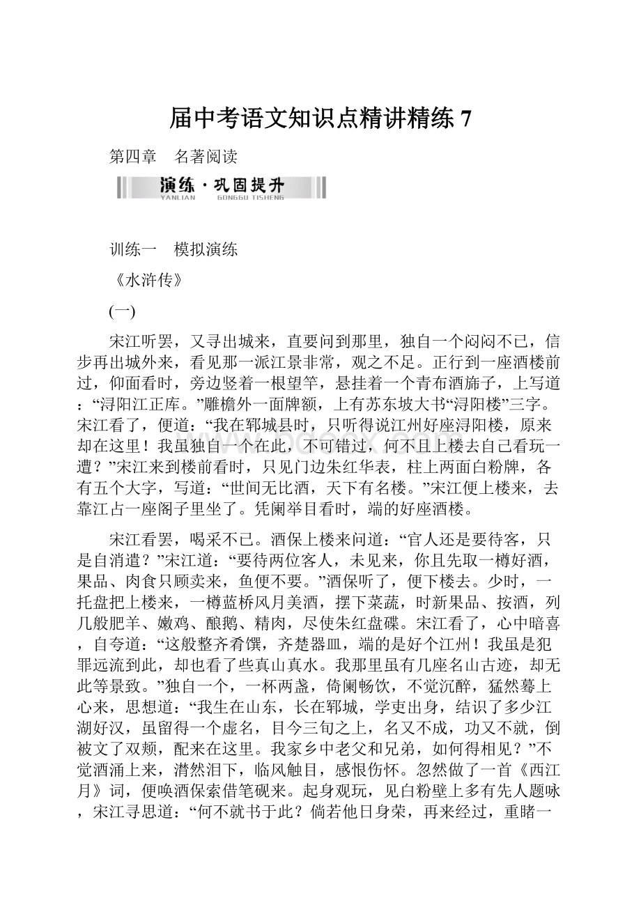 届中考语文知识点精讲精练7.docx