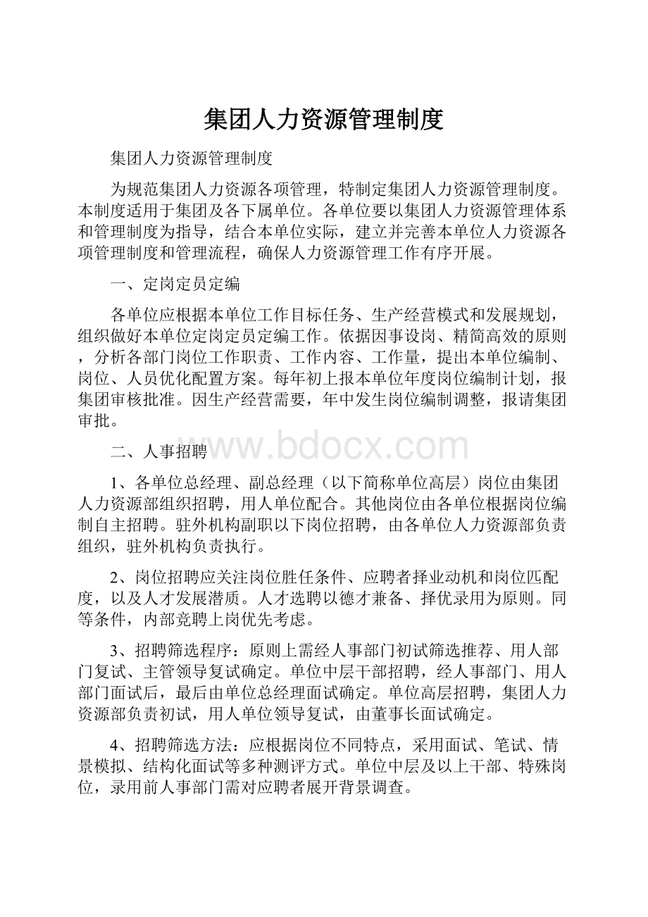 集团人力资源管理制度.docx