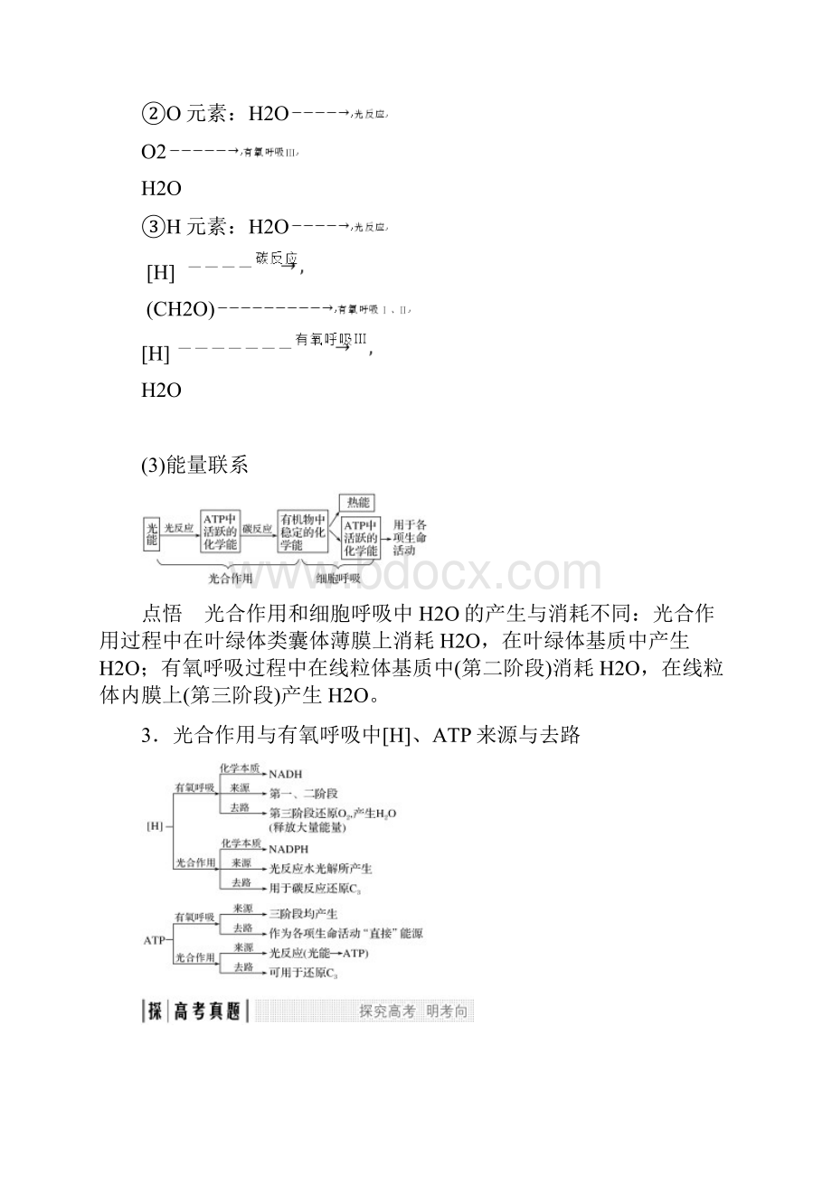 考点加强课1光合作用与呼吸作用的关系.docx_第2页