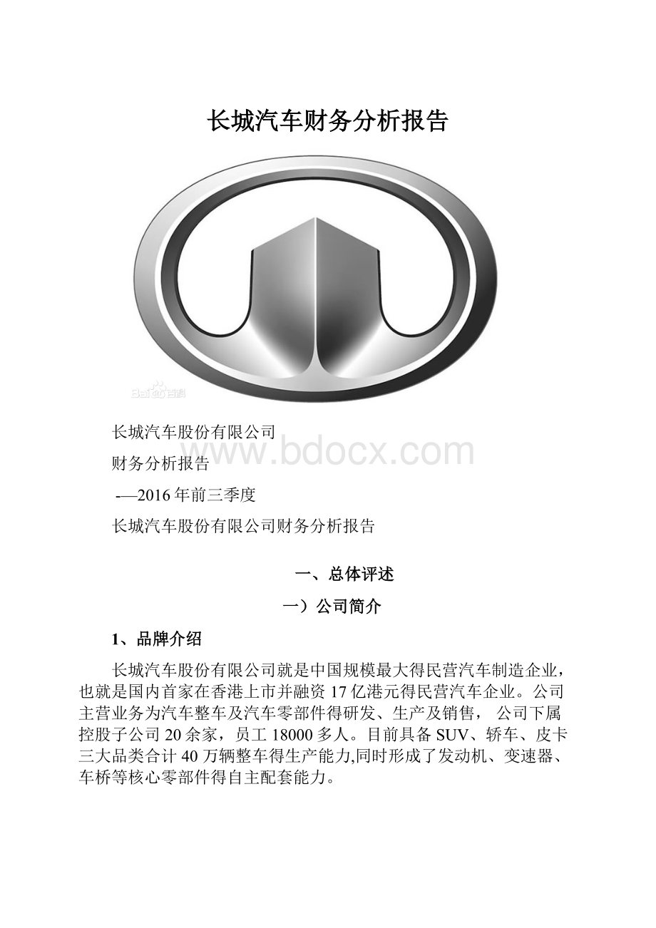 长城汽车财务分析报告.docx_第1页