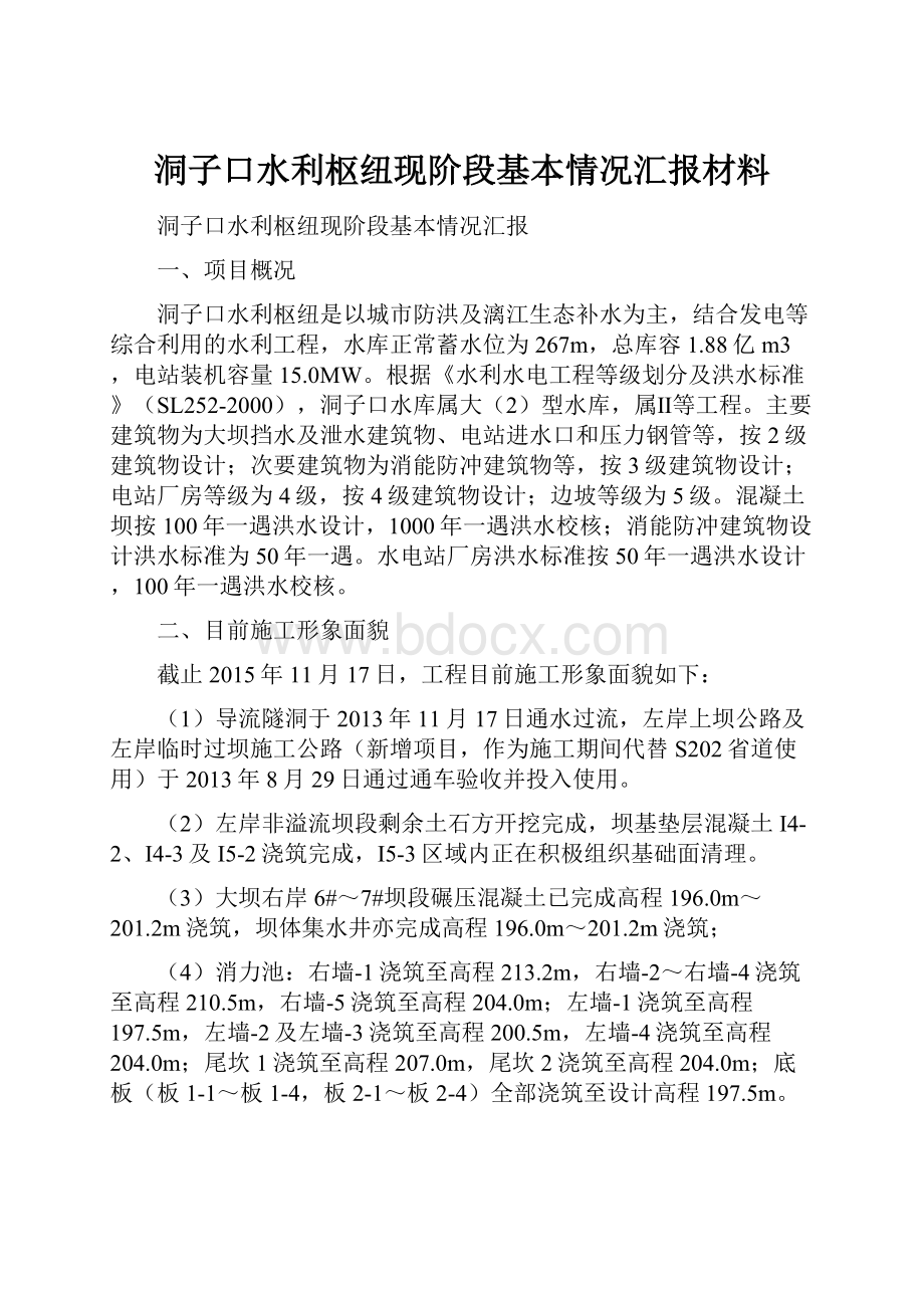 洞子口水利枢纽现阶段基本情况汇报材料.docx