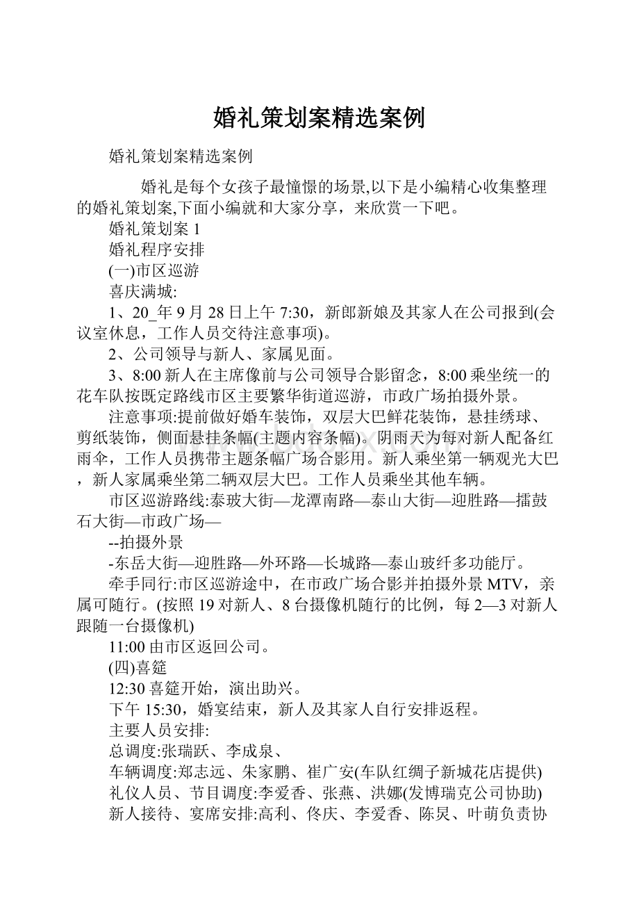 婚礼策划案精选案例.docx