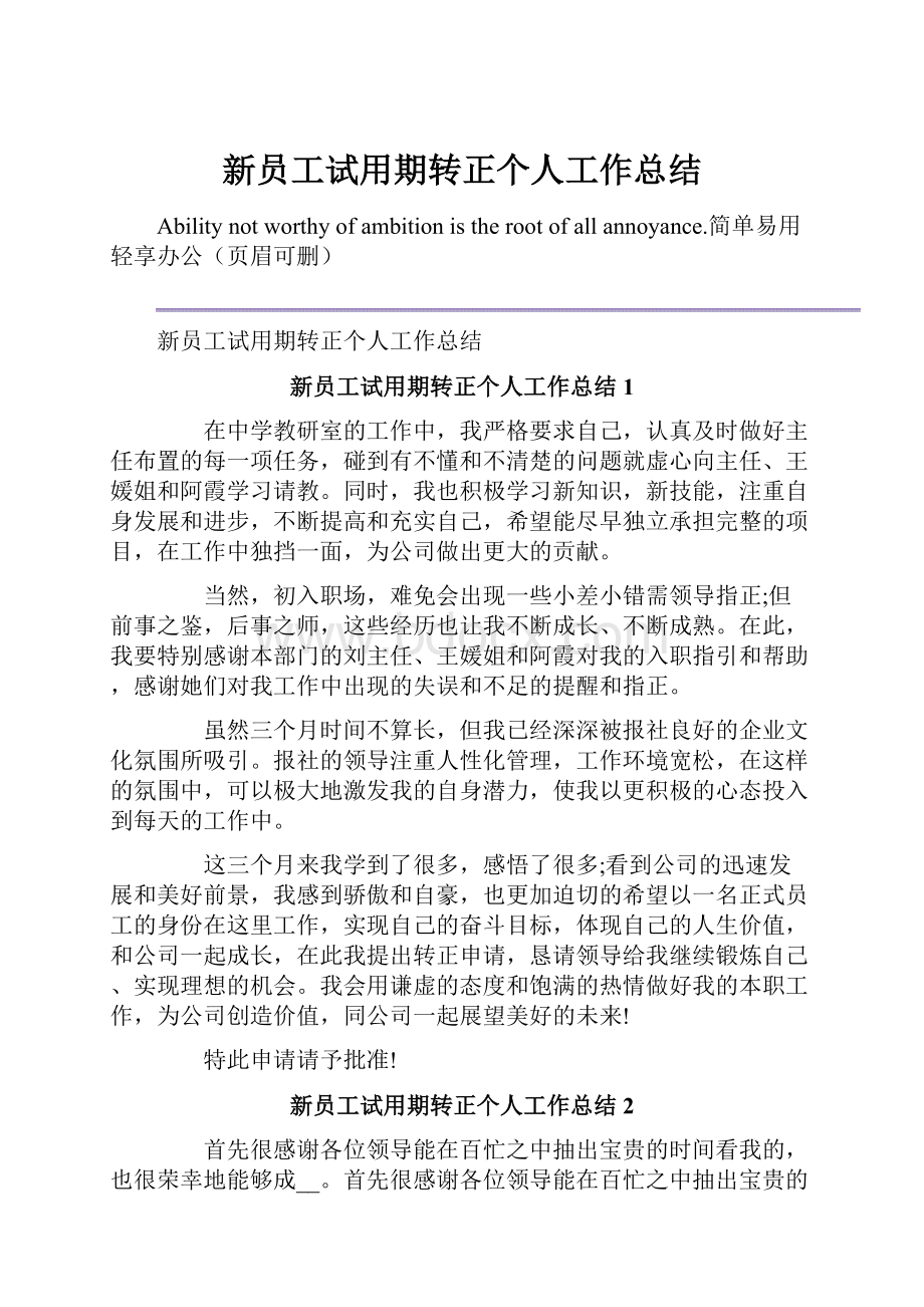 新员工试用期转正个人工作总结.docx