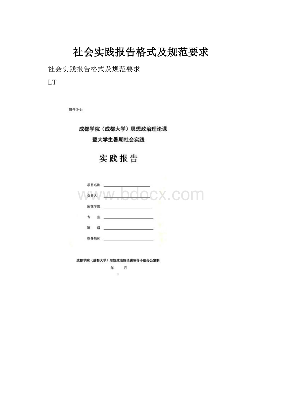 社会实践报告格式及规范要求.docx