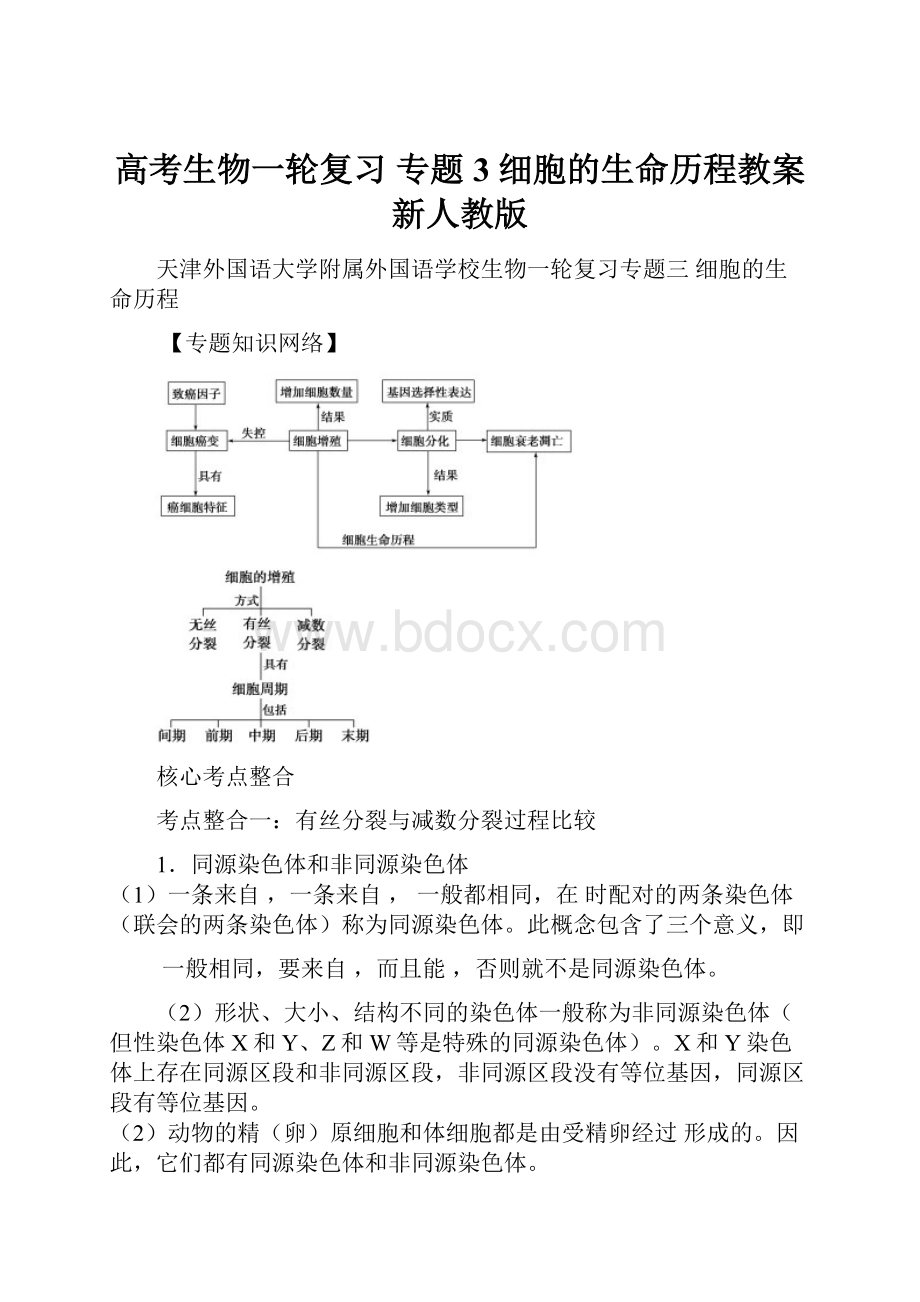 高考生物一轮复习 专题3 细胞的生命历程教案 新人教版.docx