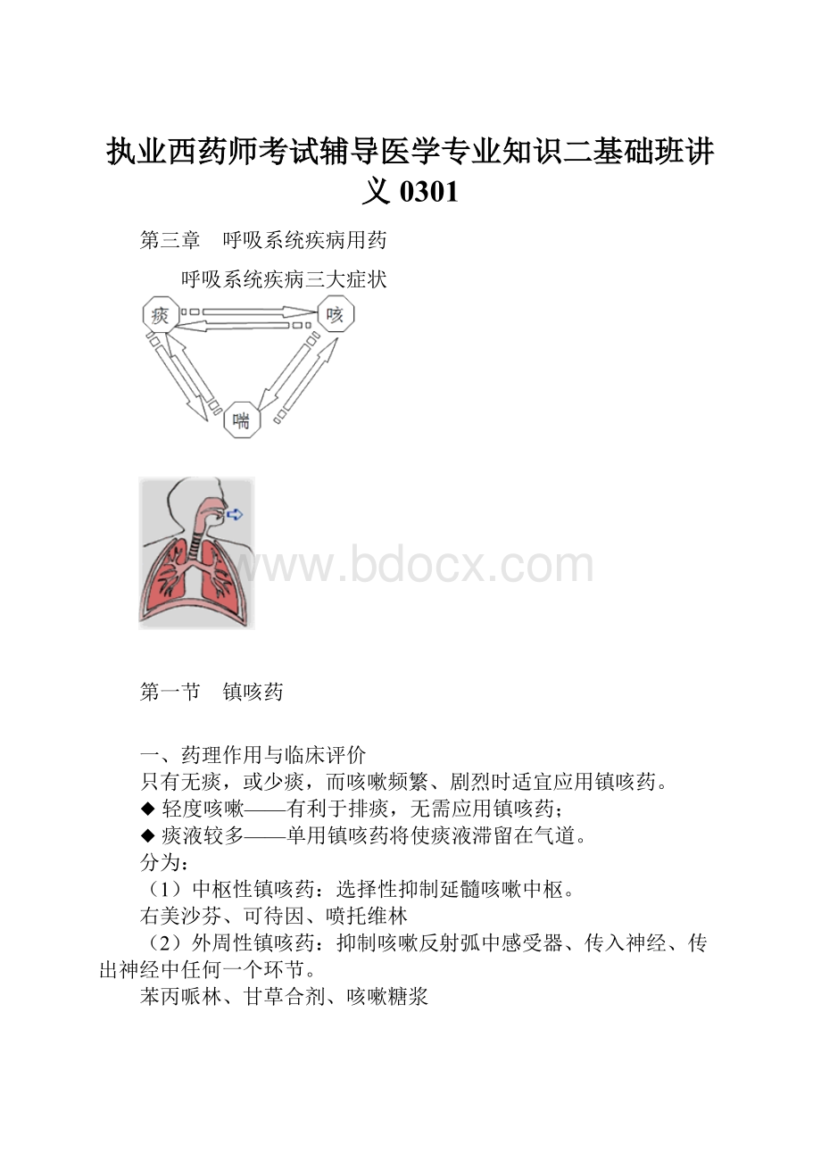 执业西药师考试辅导医学专业知识二基础班讲义0301.docx