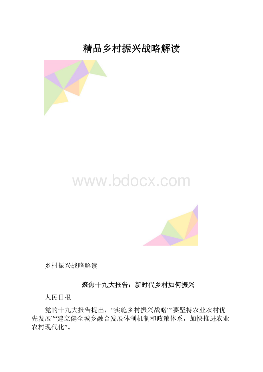 精品乡村振兴战略解读.docx