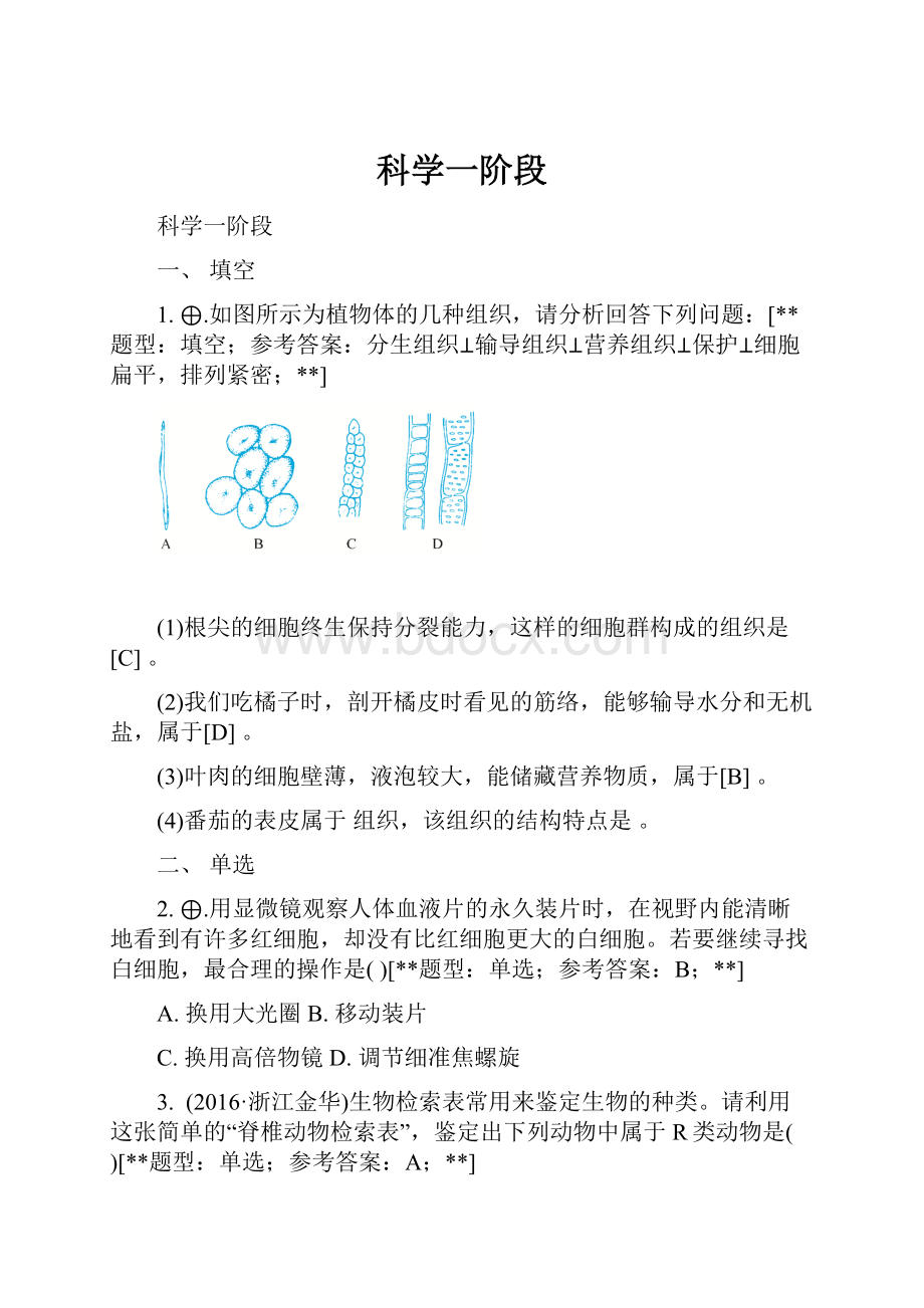 科学一阶段.docx_第1页