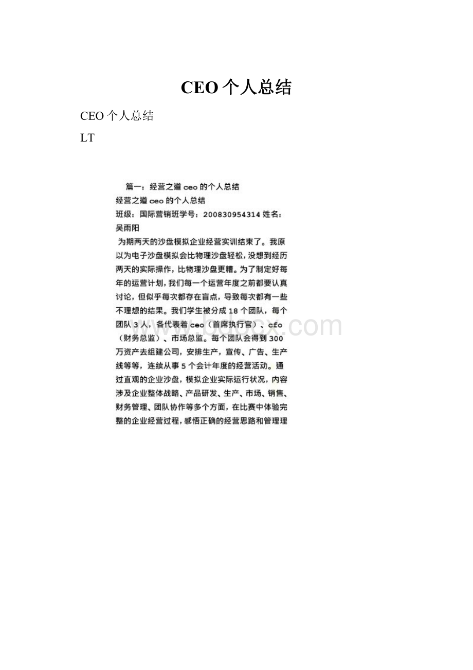 CEO个人总结.docx