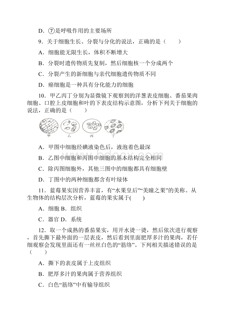 山东省潍坊市昌乐县学年七年级第一学期期中学业质量检测生物试题.docx_第3页