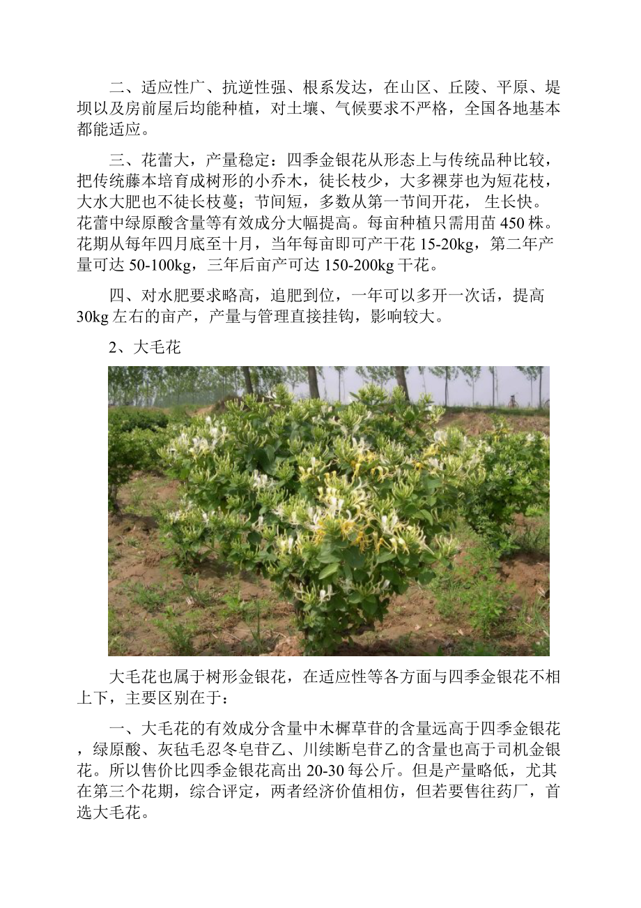 金银花种植投资综合分析报告.docx_第3页