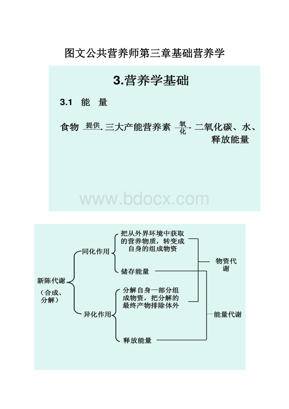 图文公共营养师第三章基础营养学.docx