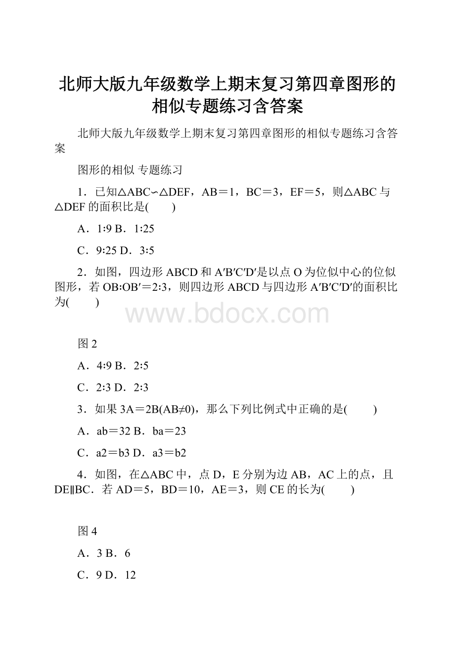 北师大版九年级数学上期末复习第四章图形的相似专题练习含答案.docx