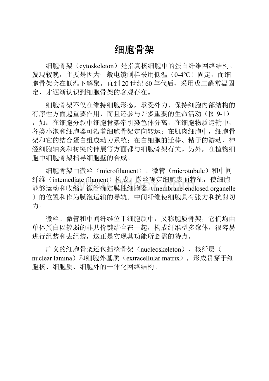 细胞骨架.docx