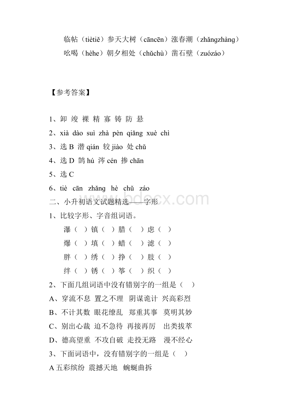 小升初语文试题精选汇总包含答案.docx_第2页