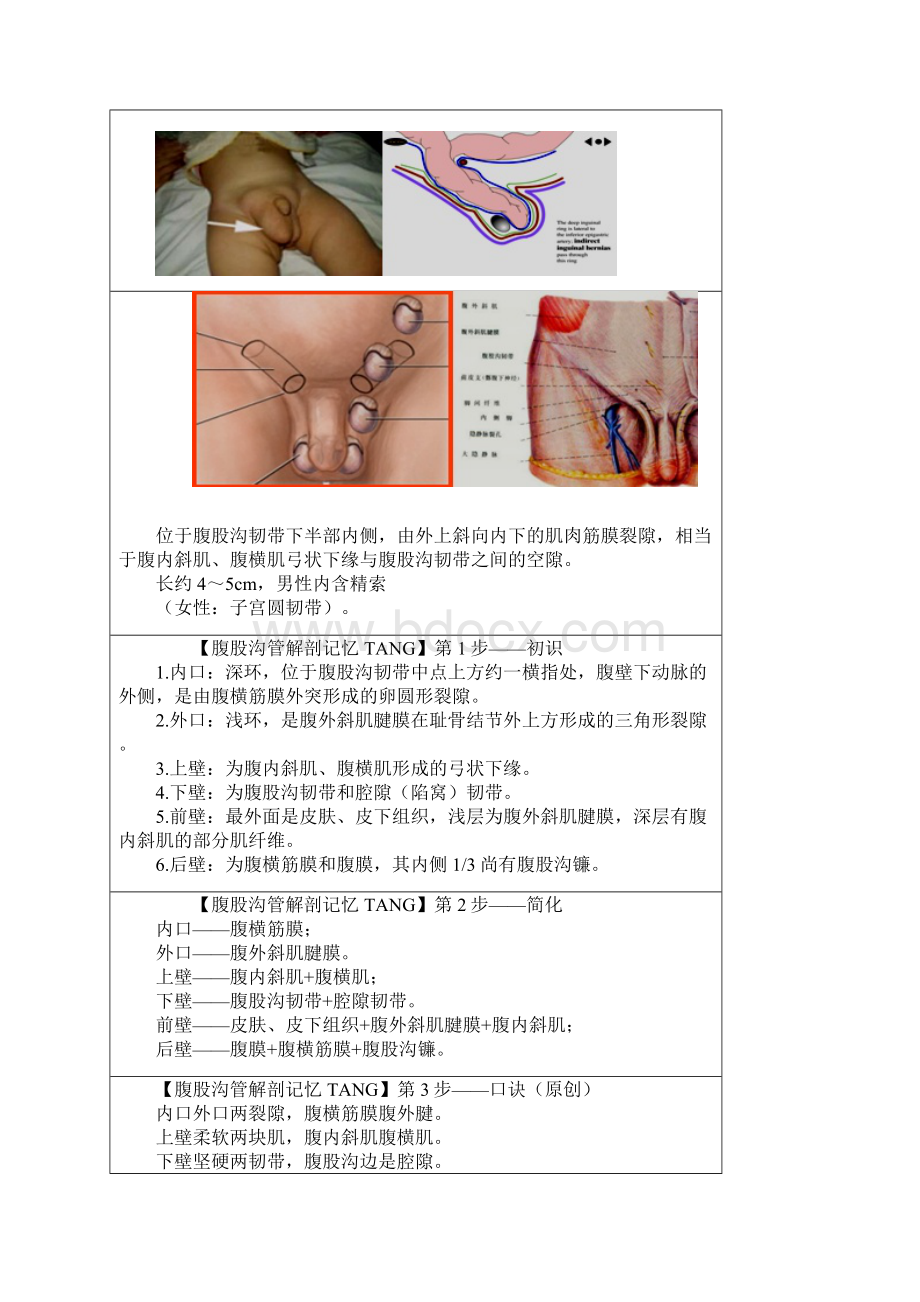 第十章腹外疝.docx_第3页