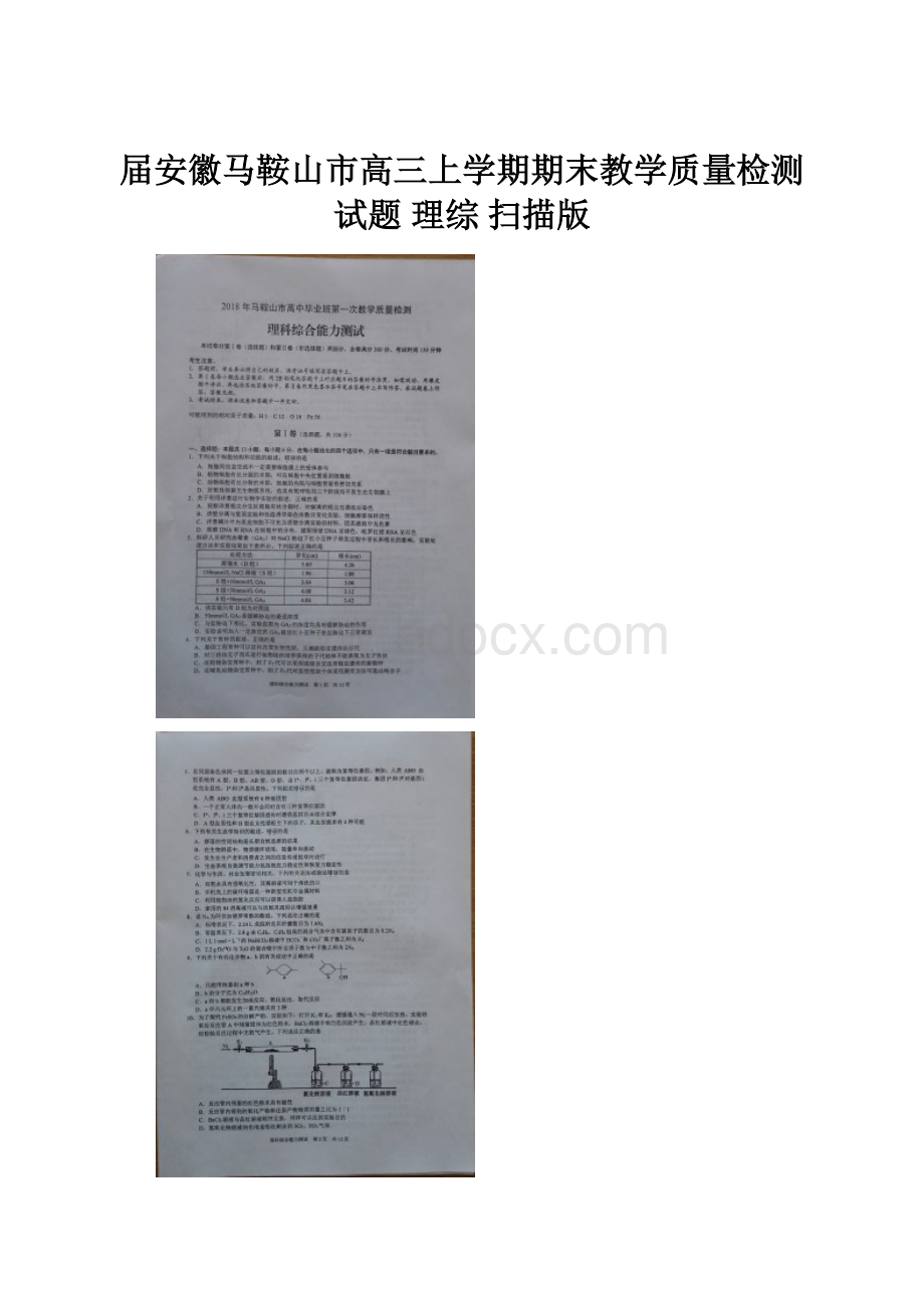 届安徽马鞍山市高三上学期期末教学质量检测试题 理综 扫描版.docx