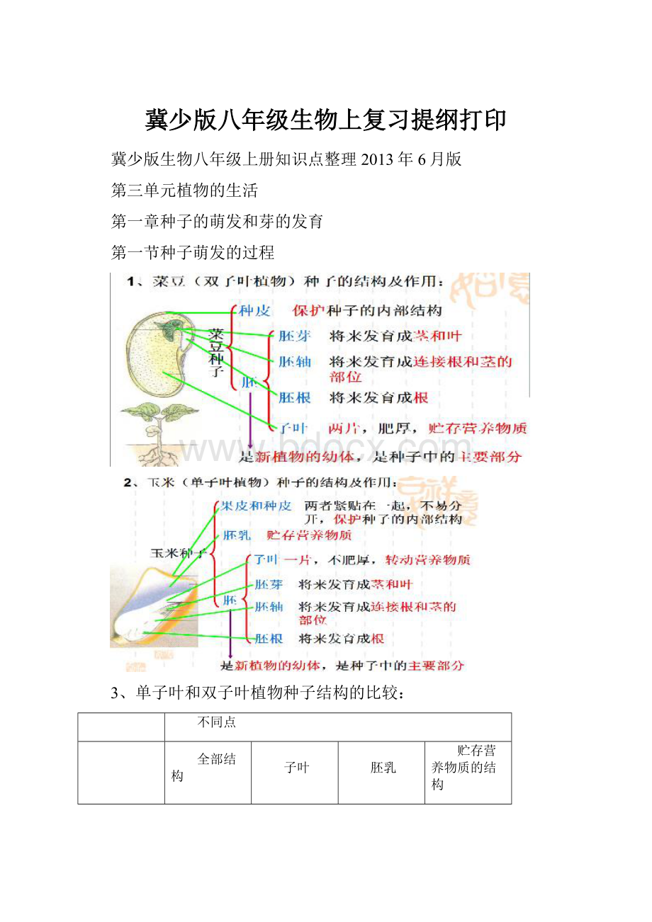 冀少版八年级生物上复习提纲打印.docx