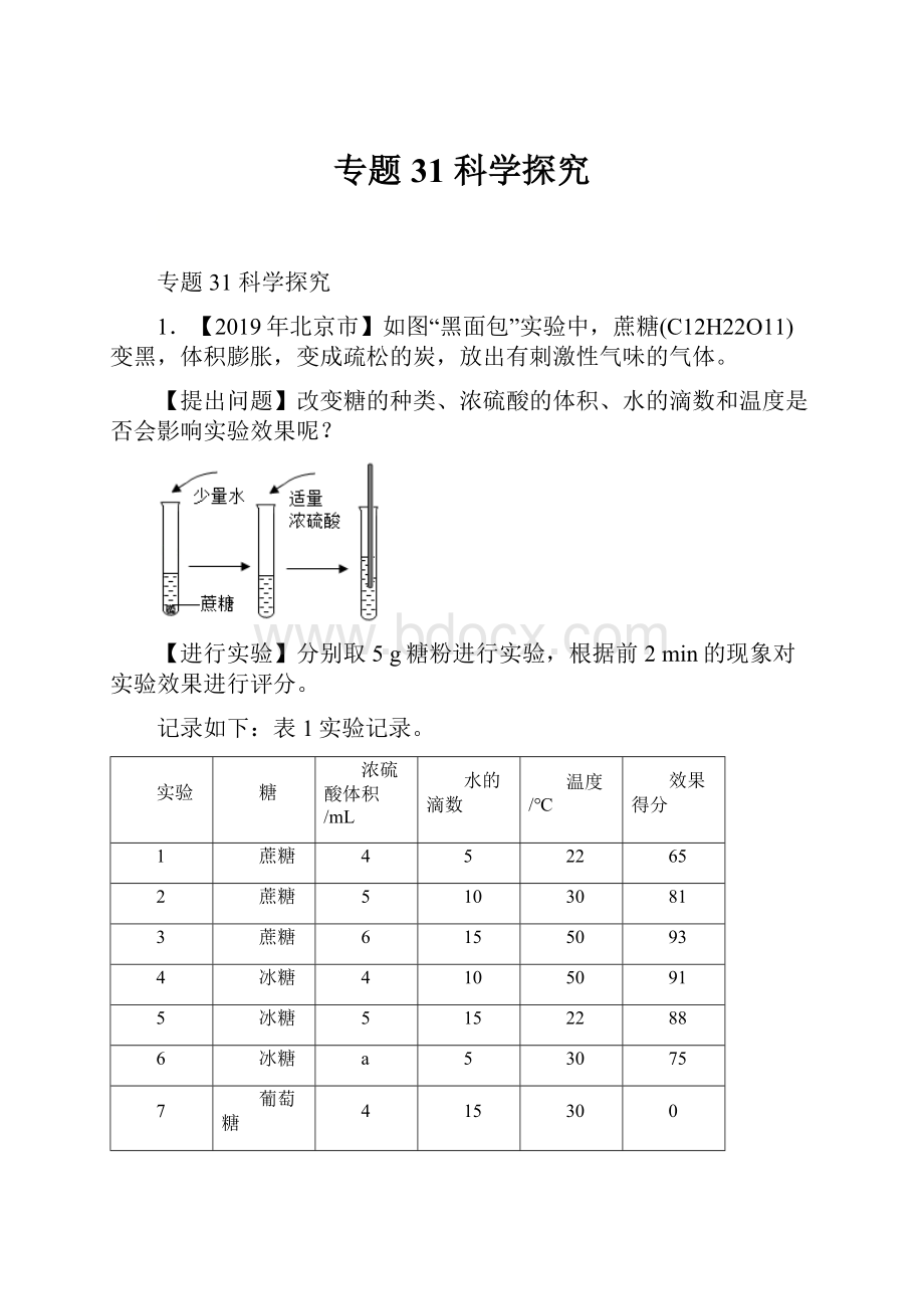 专题31 科学探究.docx