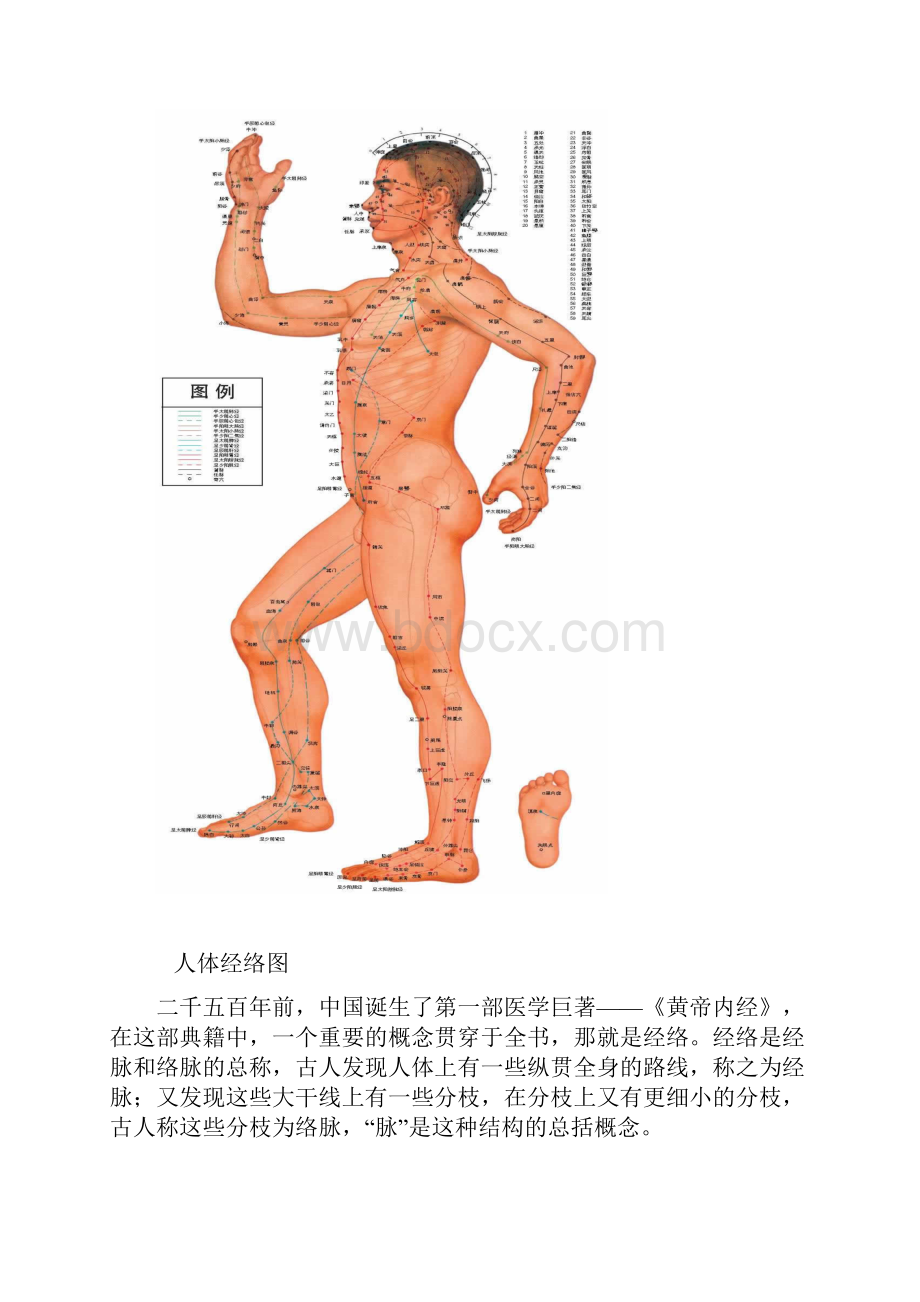 人体全身经络穴位彩图.docx_第3页