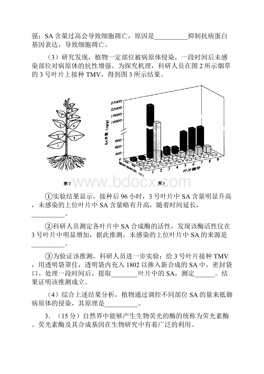 高中三实验专题作业.docx_第3页