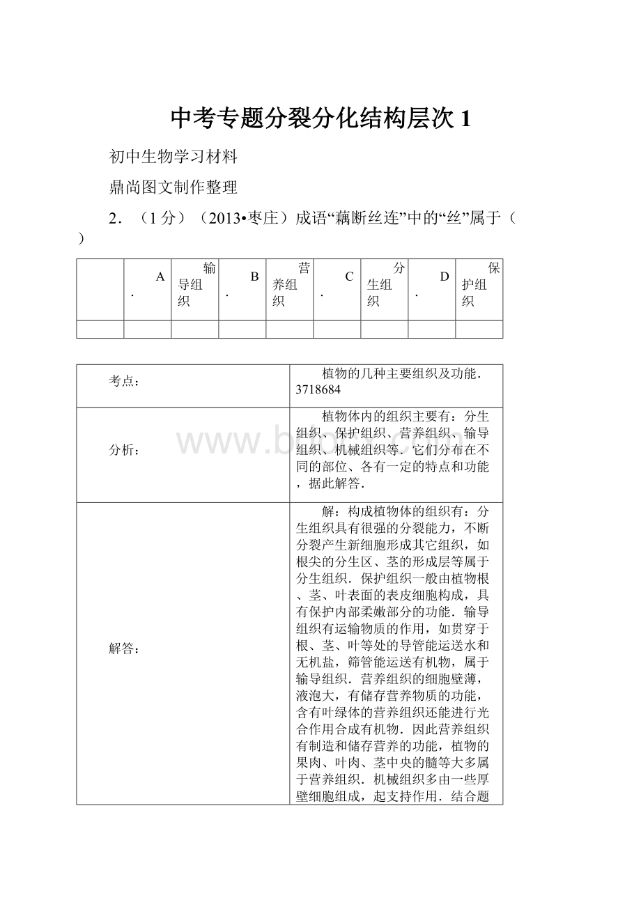 中考专题分裂分化结构层次1.docx_第1页