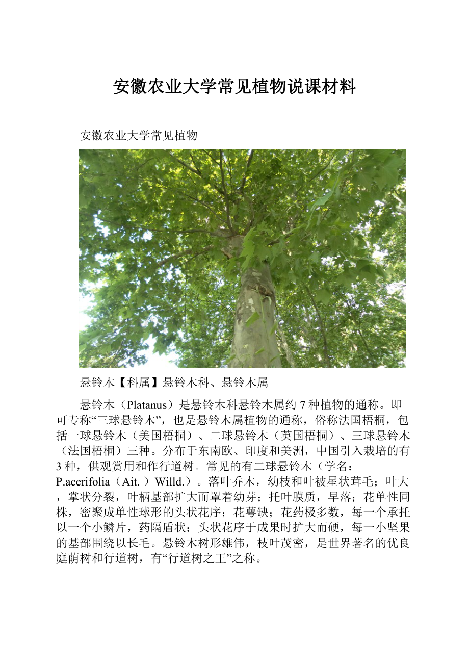 安徽农业大学常见植物说课材料.docx_第1页