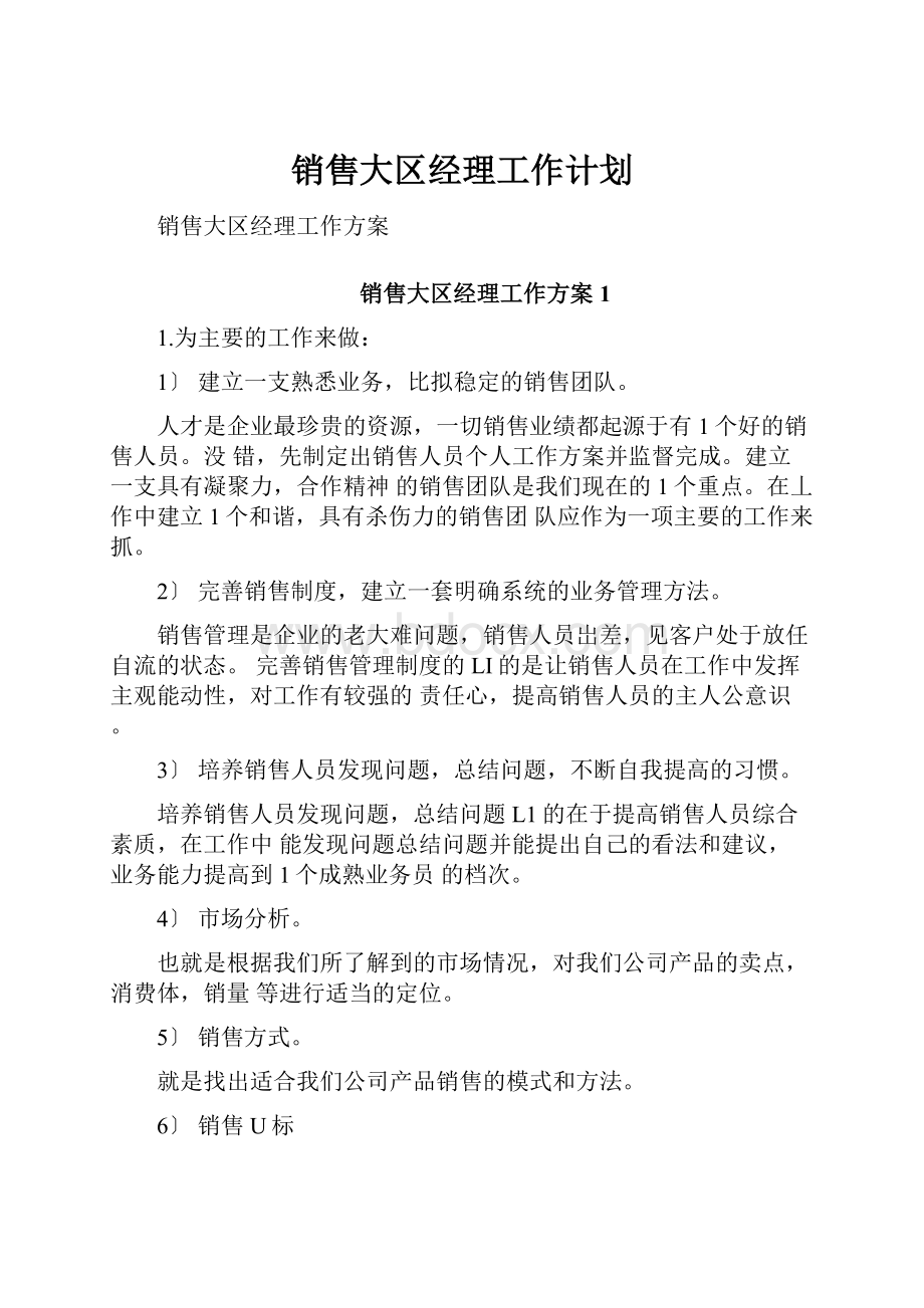 销售大区经理工作计划.docx