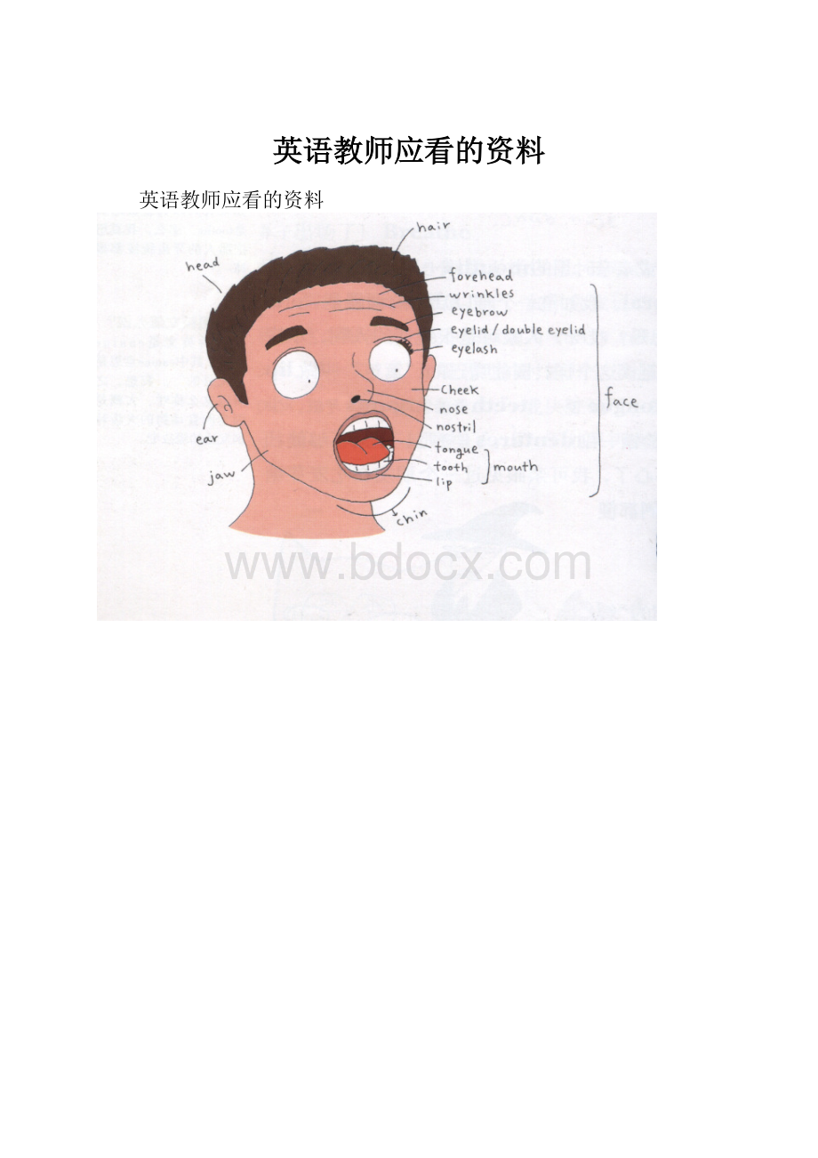 英语教师应看的资料.docx