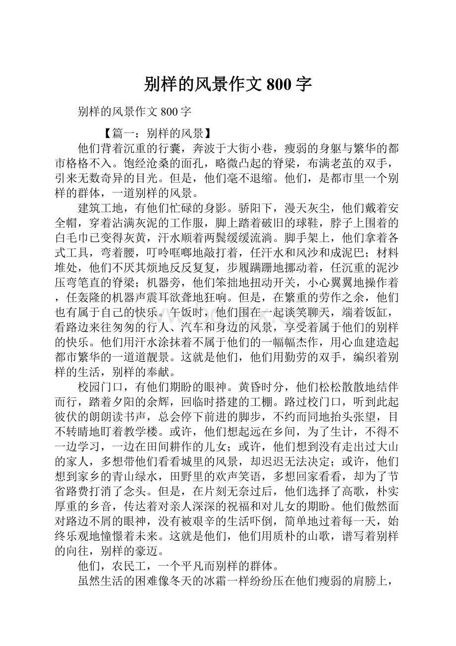 别样的风景作文800字.docx_第1页