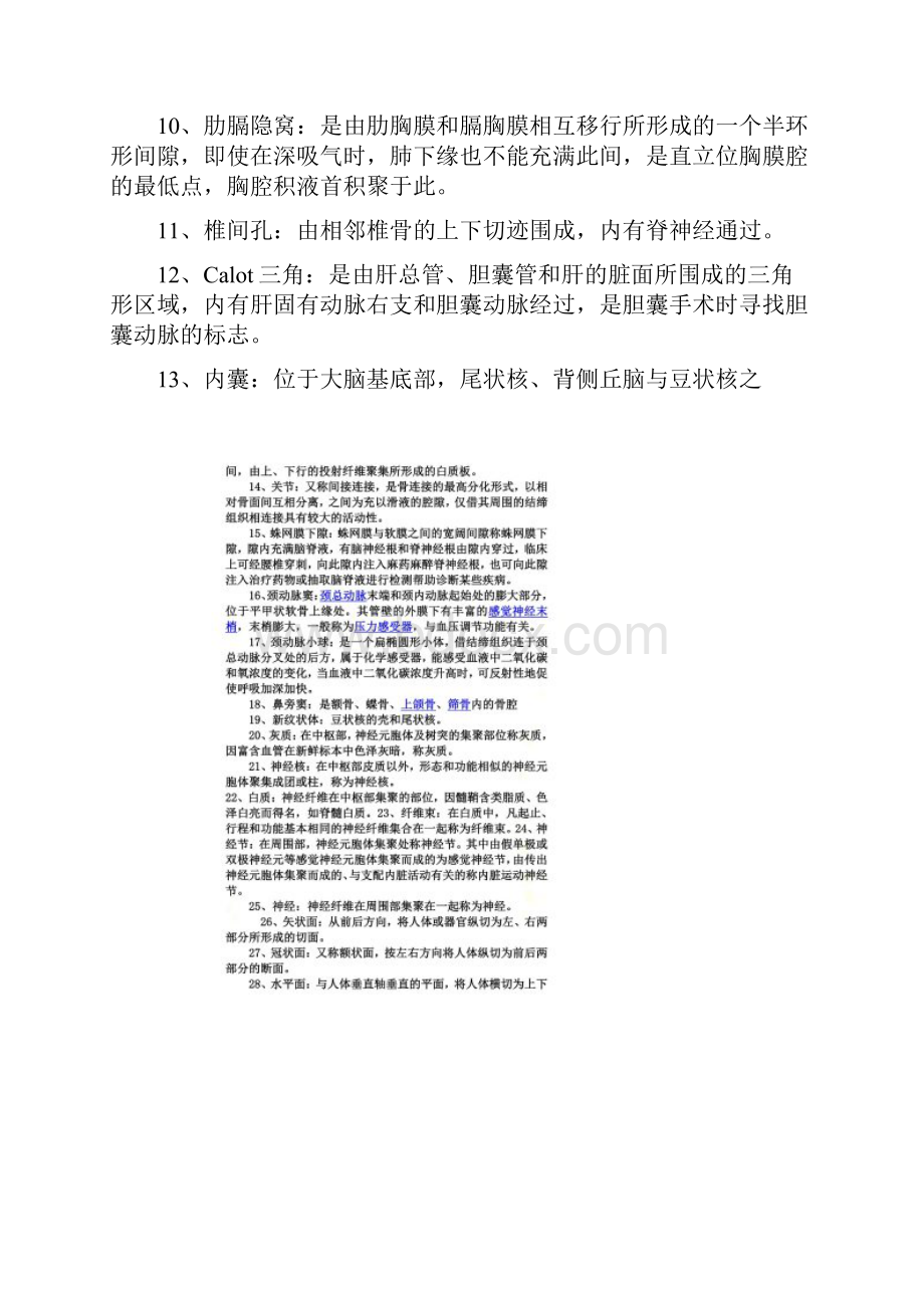 系统解剖学名词解释00001.docx_第2页