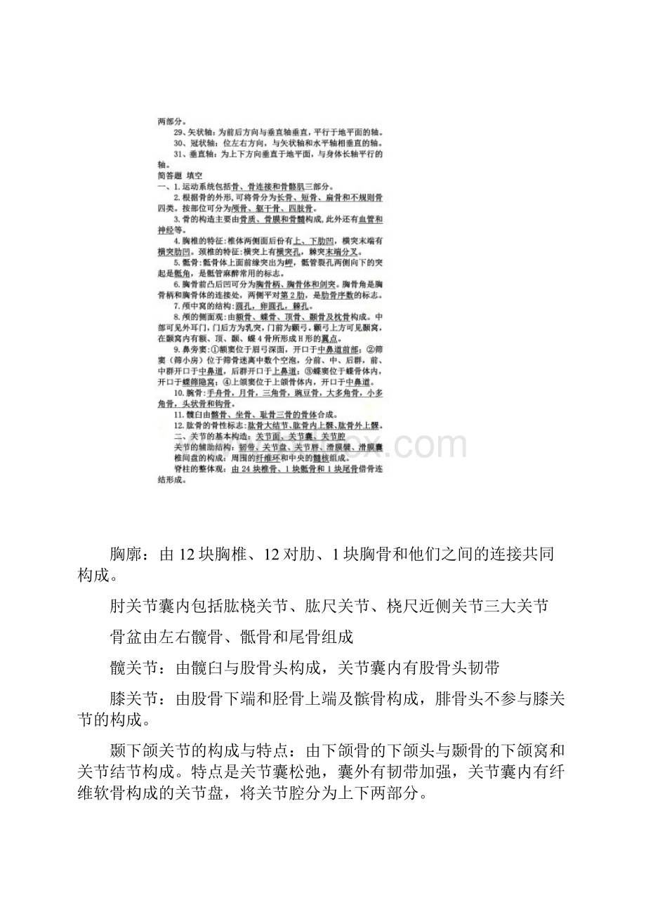 系统解剖学名词解释00001.docx_第3页