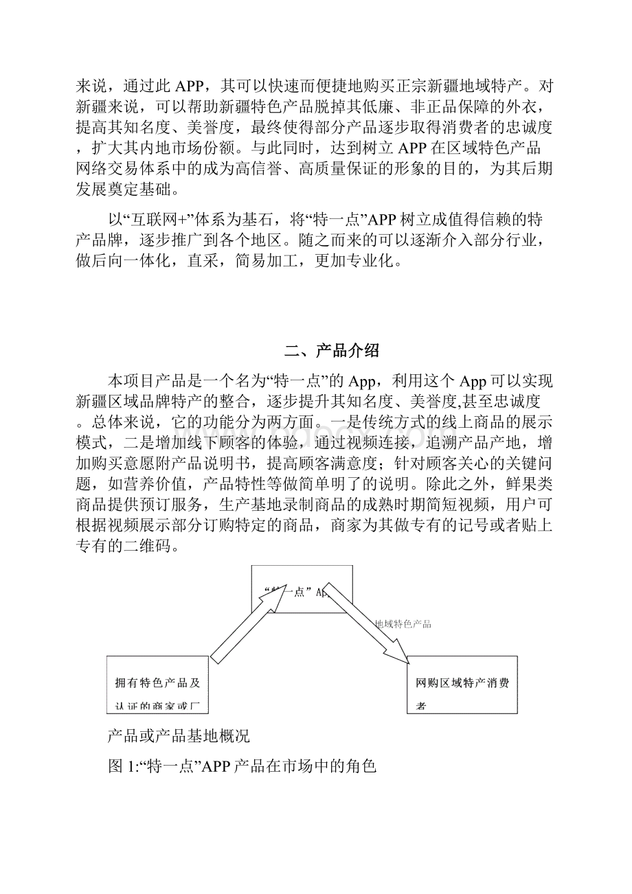 互联网+项目计划书.docx_第2页