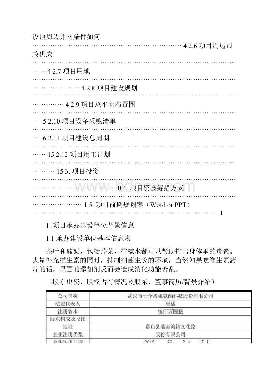 光伏电站建设项目清单概要.docx_第2页