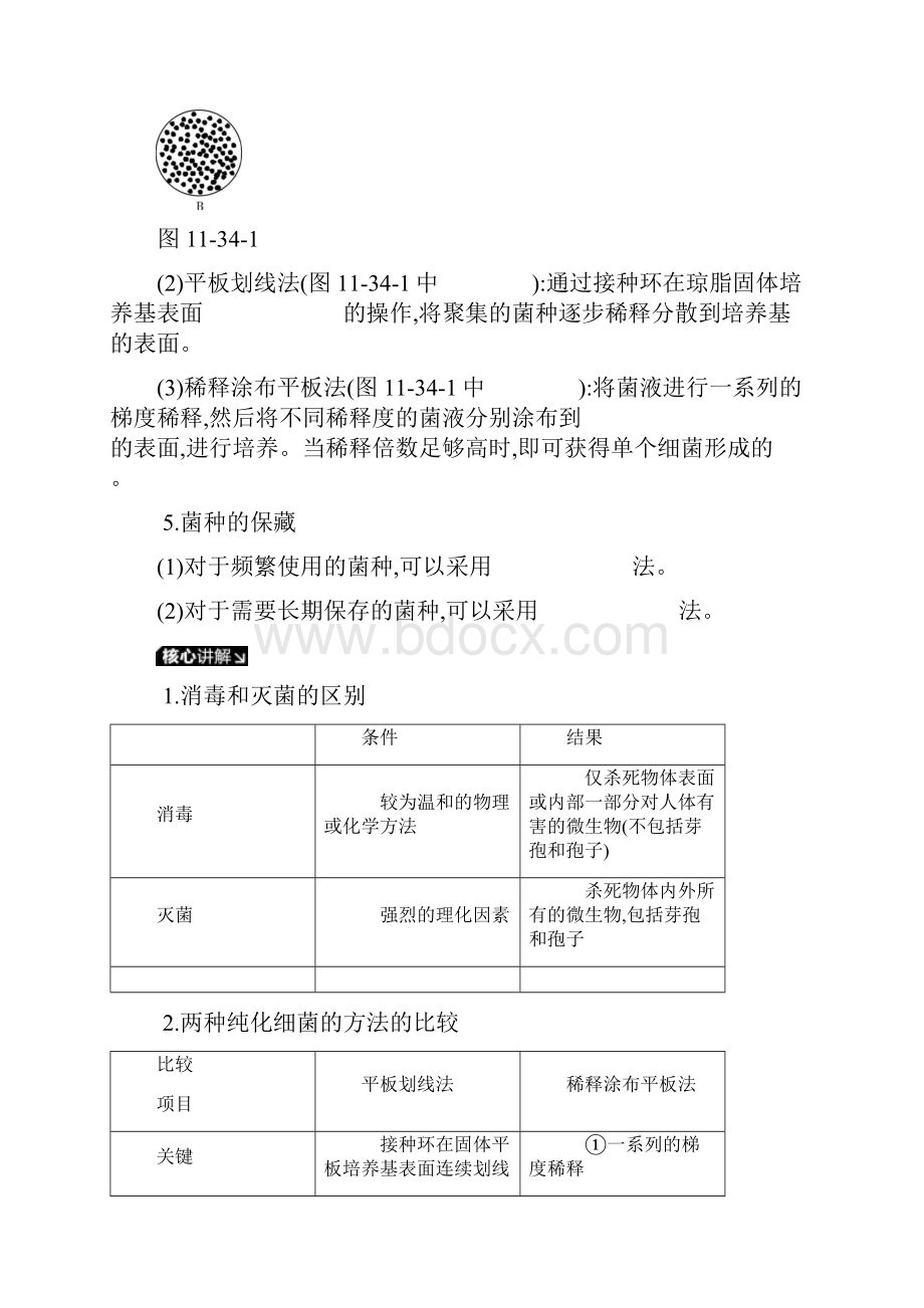 版高考生物一轮复习第11单元生物技术实践第34讲微生物的培养和利用学案苏教版.docx_第3页