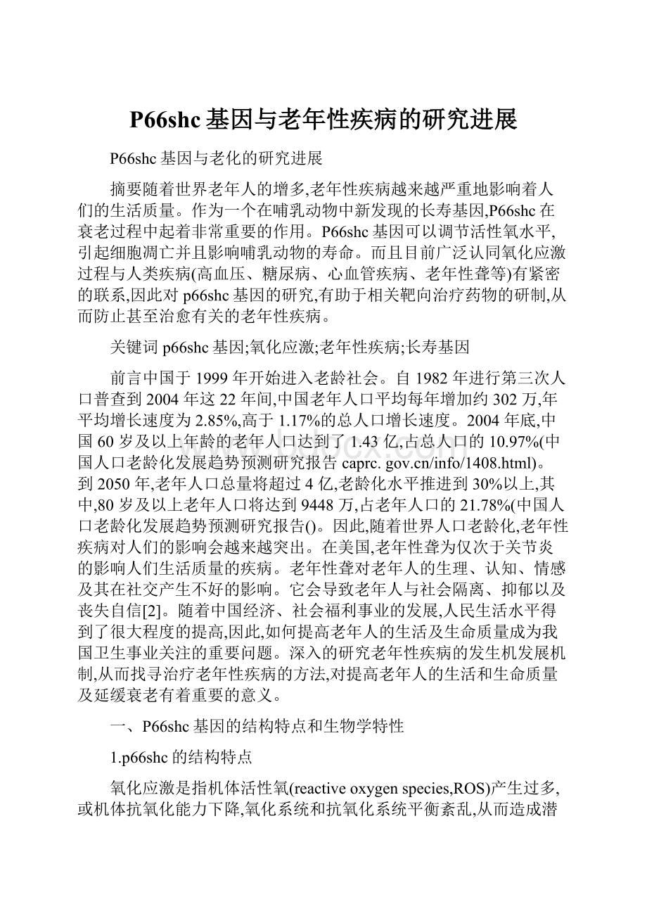 P66shc基因与老年性疾病的研究进展.docx