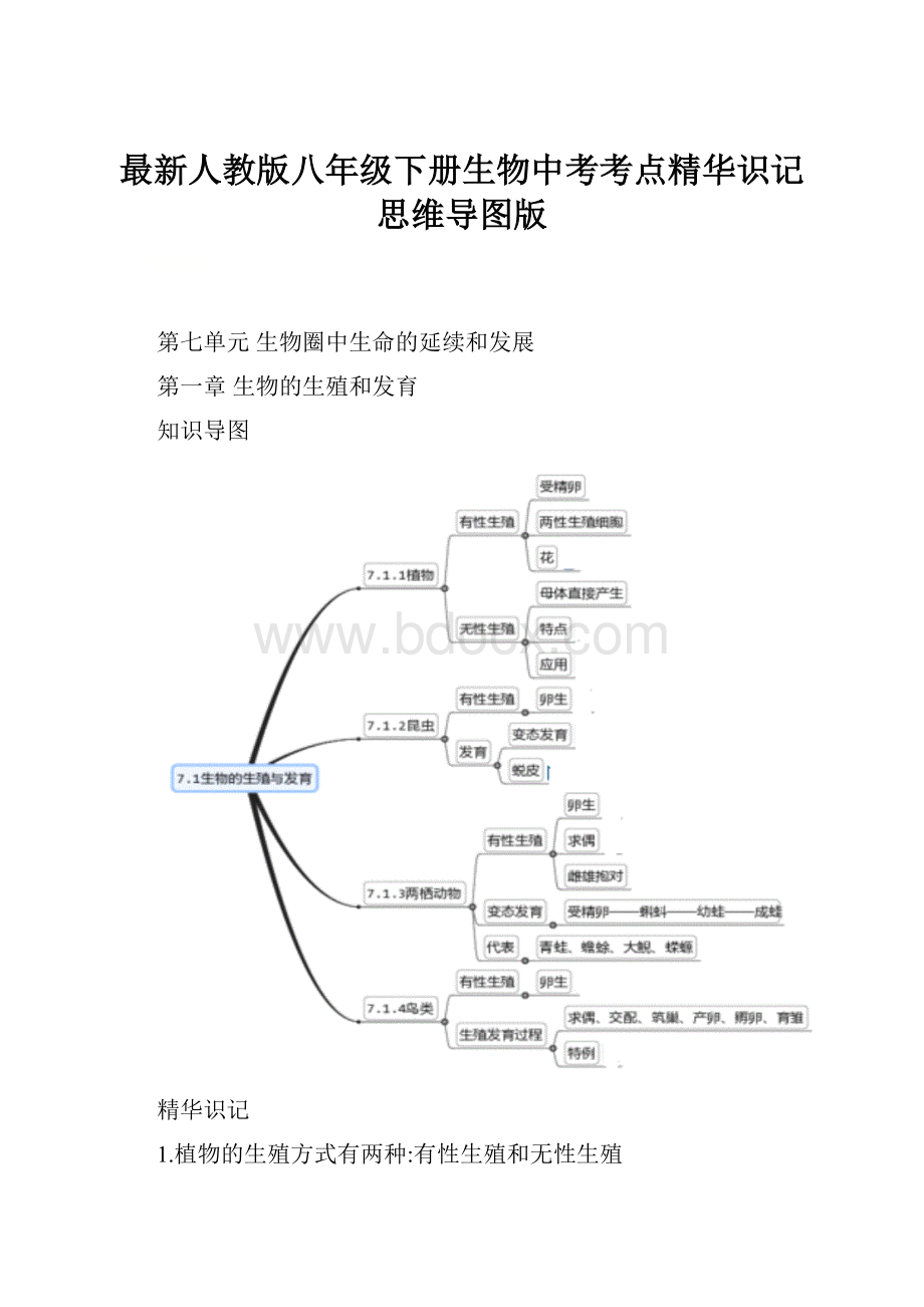 最新人教版八年级下册生物中考考点精华识记思维导图版.docx_第1页