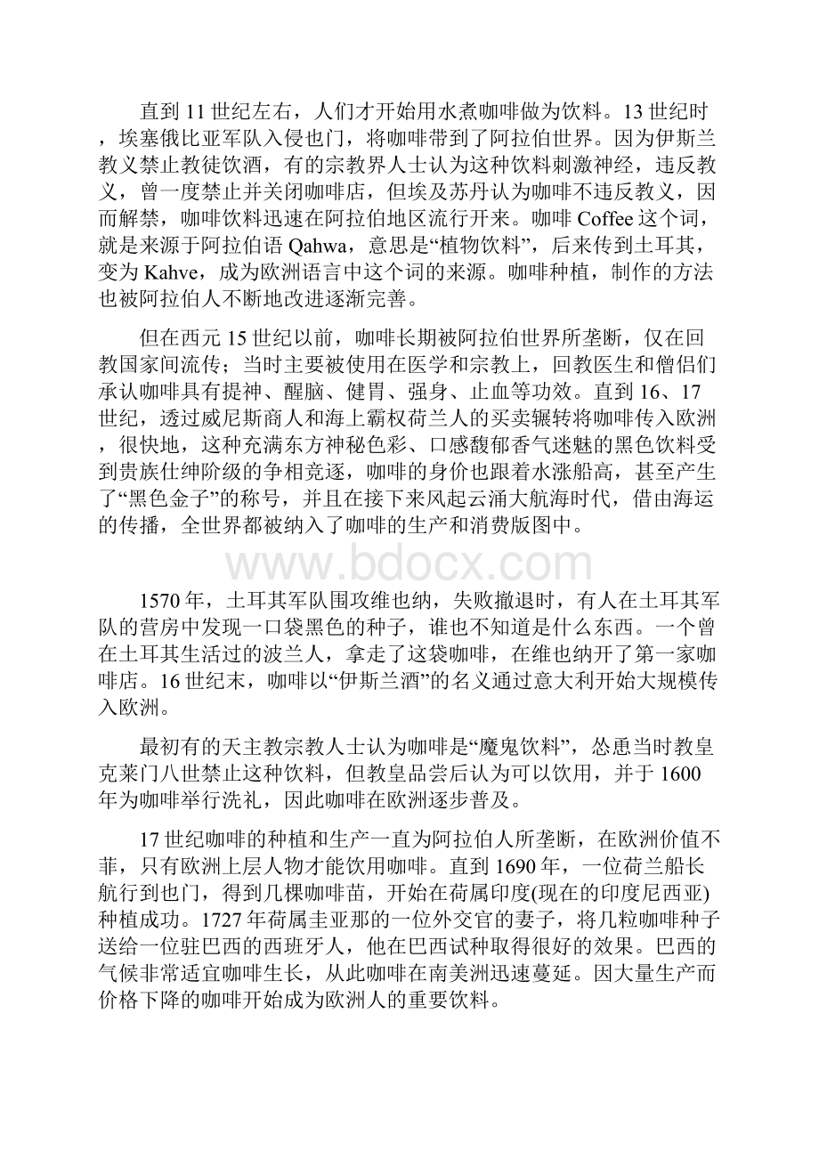 咖啡店创业策划报告1.docx_第3页