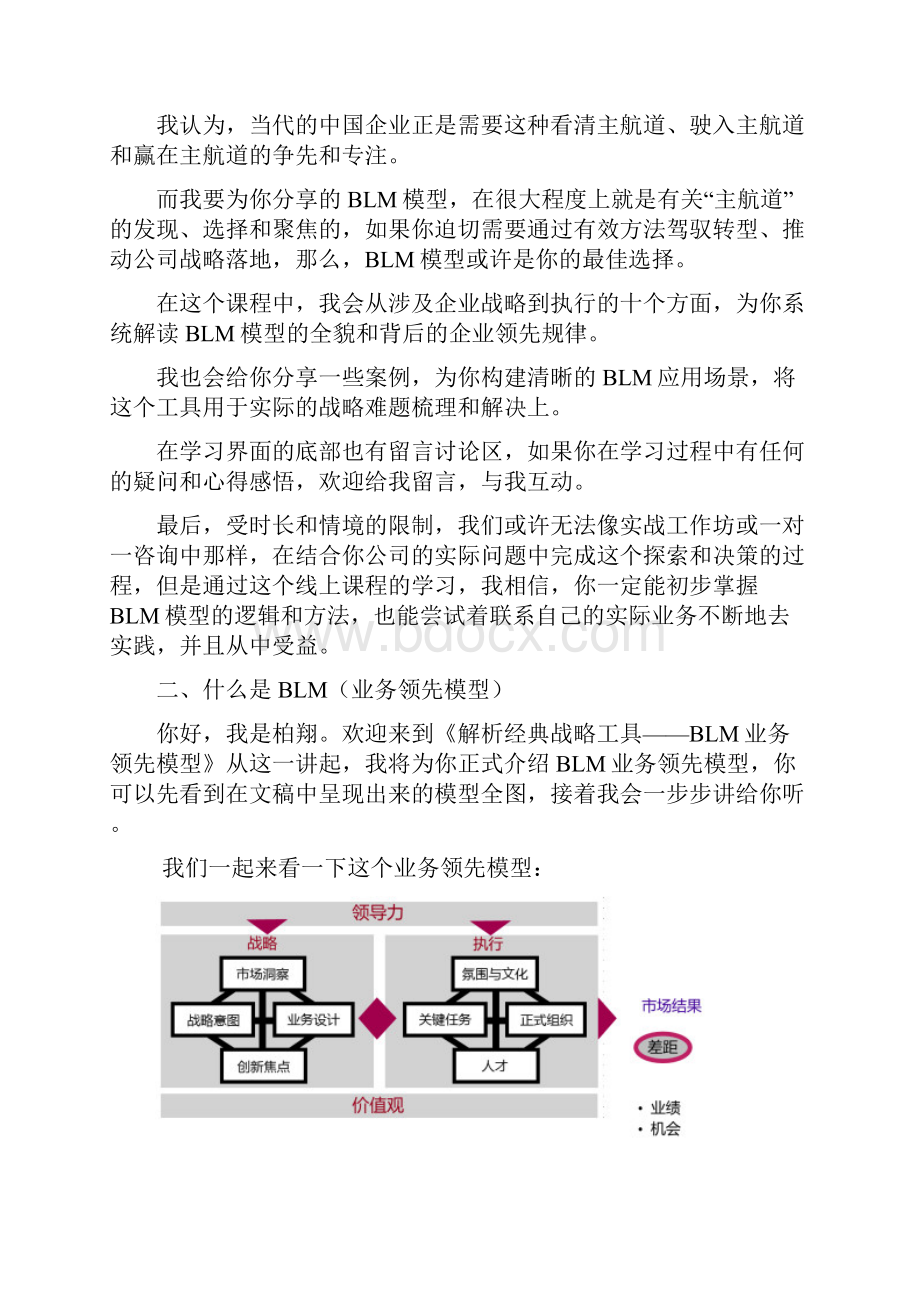 解析经典战略工具BLM业务领先模型.docx_第3页