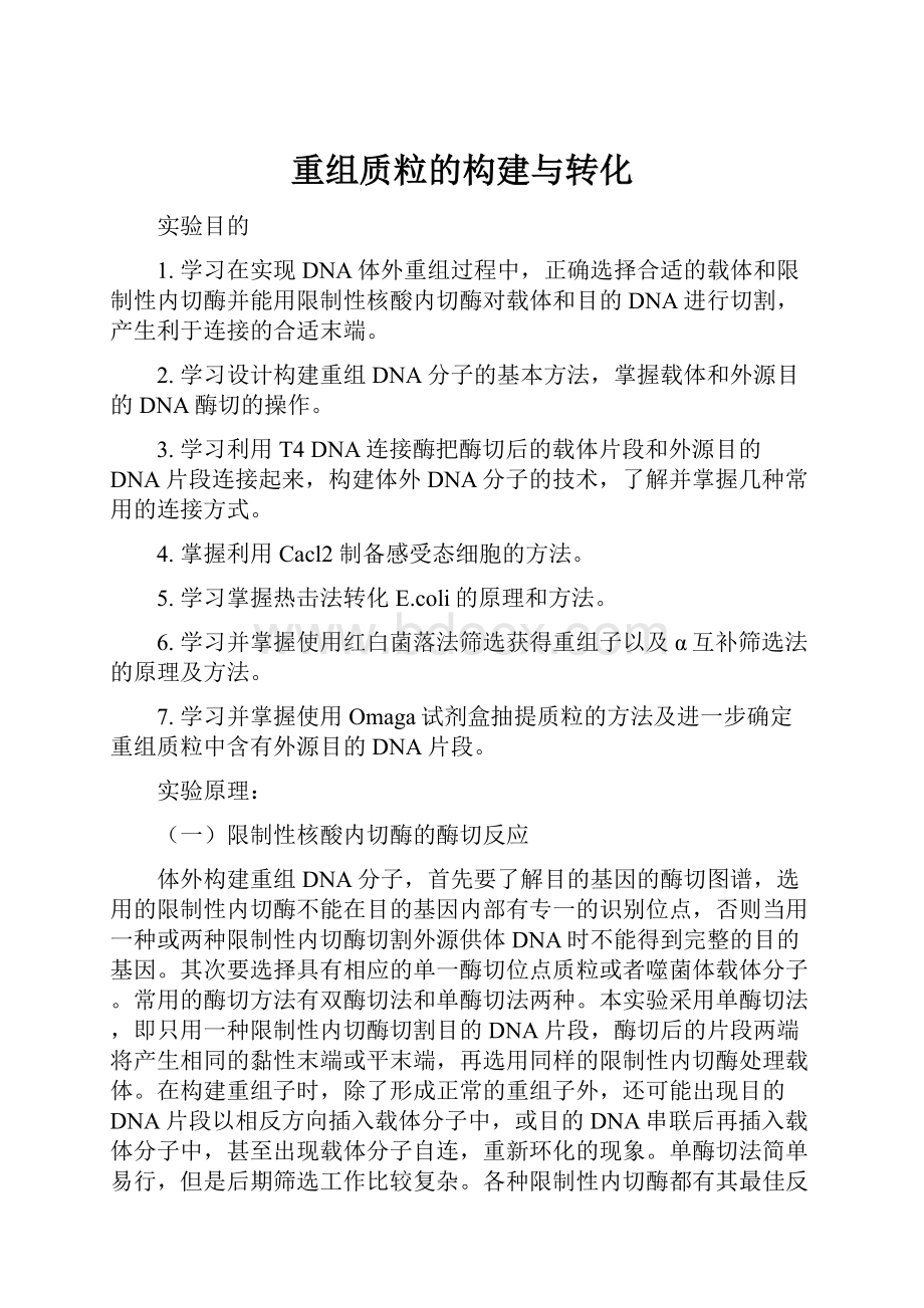 重组质粒的构建与转化.docx