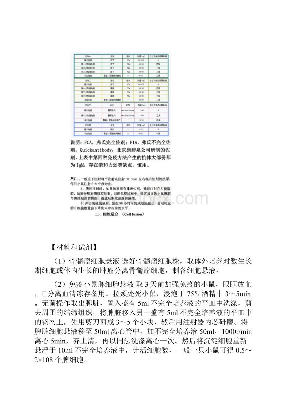 单克隆抗体制备实验过程.docx_第2页