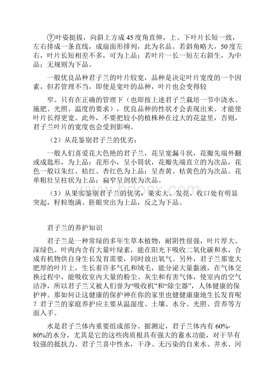 君子兰养殖辨认好坏技巧窍门全集带图片.docx_第2页