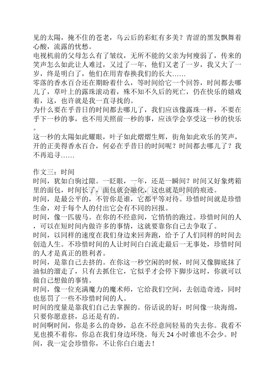 解读时间话题作文.docx_第2页