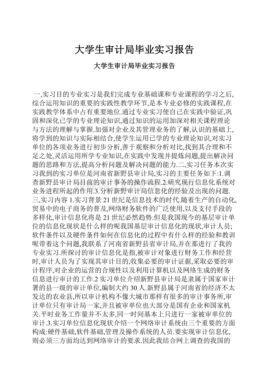 大学生审计局毕业实习报告.docx